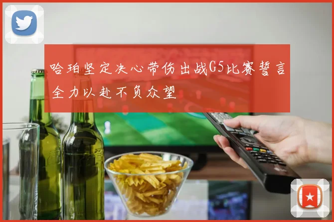哈珀坚定决心带伤出战G5比赛誓言全力以赴不负众望