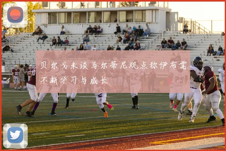贝尔戈米谈马尔蒂尼观点称伊布需不断学习与成长